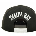 Tampa Bay Rays New Era MLB Black Ice Snapback 9FIFTY Cap